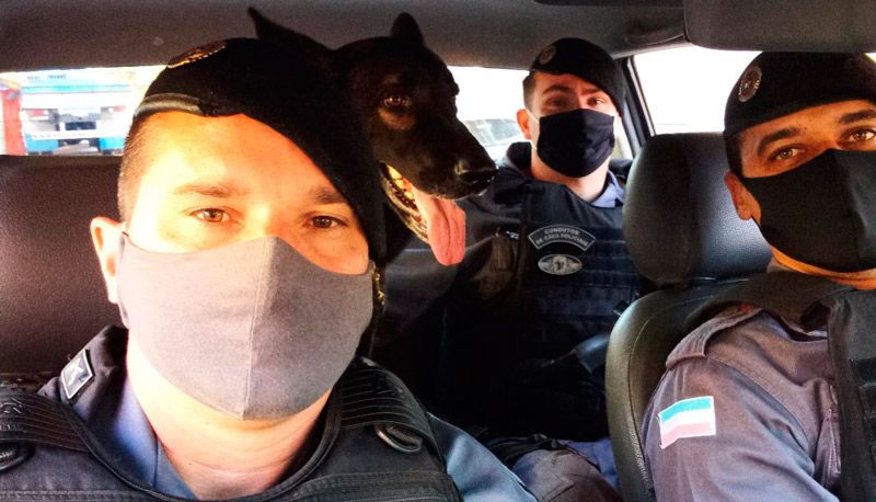 Equipe K-9 é formada pelo cabo Adriano e pelos soldados Mateus Tófano e Luiz Pabulo Fim Thiengo, além de Messi. (Foto: Alessandro de Paula / AT)