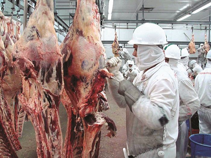 Frigorífico: contaminação (Foto: Divulgação )