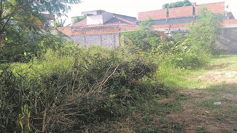 Lote cheio de mato em Riviera da Barra (Foto: Vânia Alves Dos Santos)