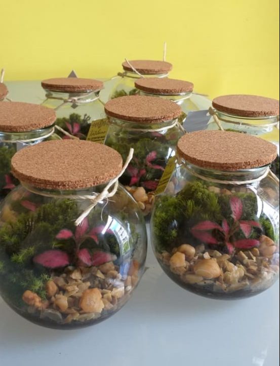 Terrários fechados e mini jardins em vidros para decorar e ser lembrado pelo seu amor. (Foto: Divulgação)