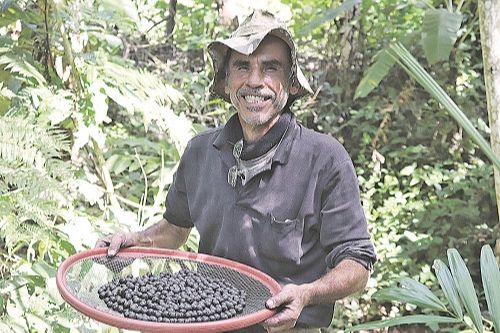 Newton Campos segura peneira com açaí. “Aqui, a gente colhe o ano todo. Quando uma fruta acaba, já está dando outra”, disse (Foto: Alessandro de Paula)