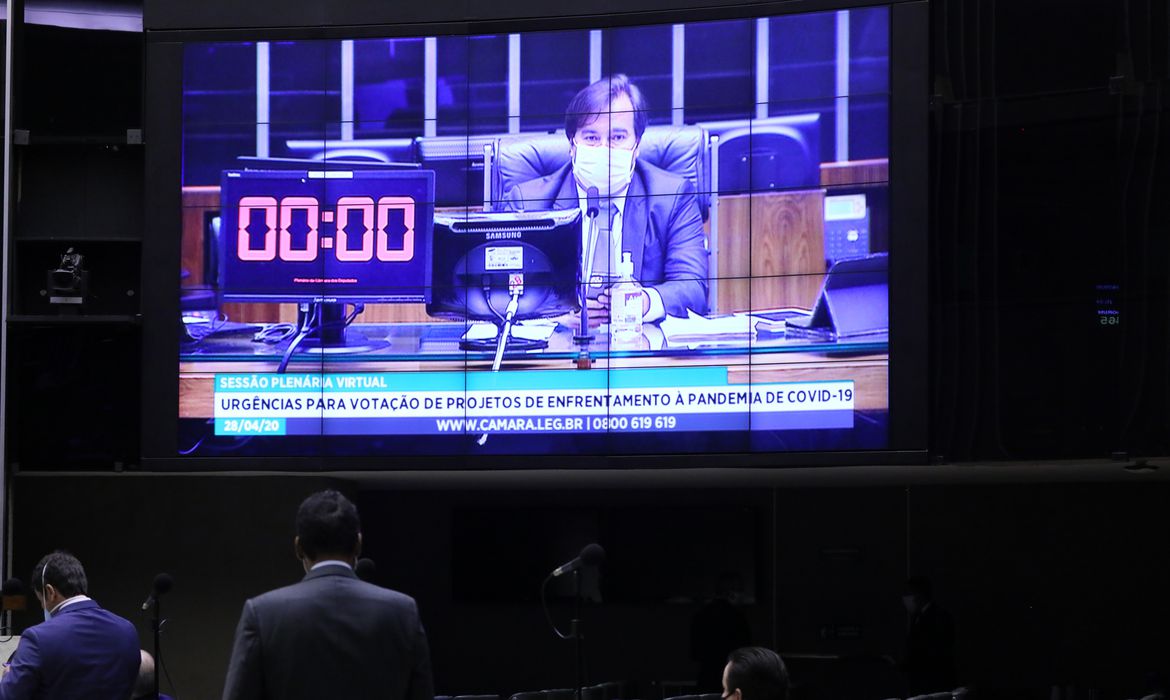 Sessão virtual da Câmara dos Deputados (Foto: Najara Araújo/ Câmara dos Deputados)