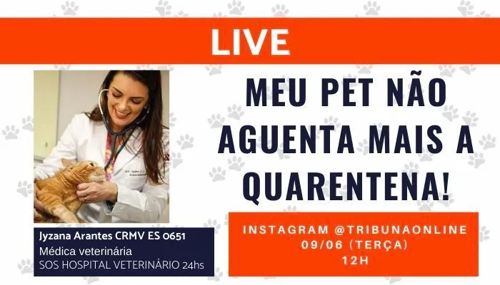 Imagem ilustrativa da imagem Ao vivo: Pets na quarentena é tema de live no Tribuna Online