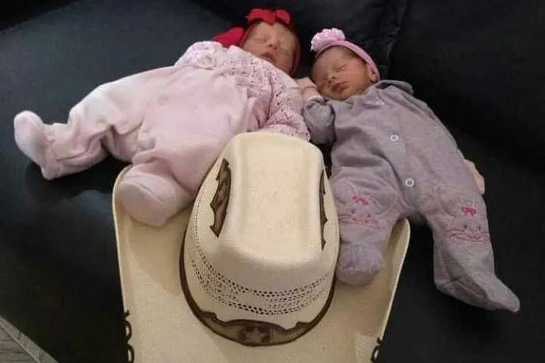 Imagem ilustrativa da imagem Gêmeas recém-nascidas morrem após ataque de cachorro