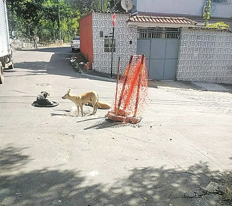 Imagem ilustrativa da imagem Buracos abertos