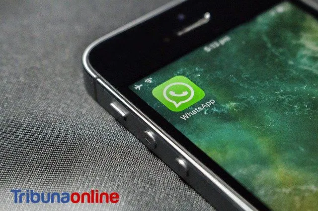Imagem ilustrativa da imagem Receba notícias do Tribuna Online pelo Whatsapp