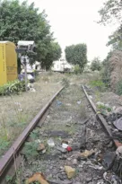 Imagem ilustrativa da imagem Mato sobre trilhos