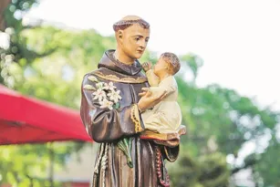 Imagem ilustrativa da imagem Bênção e missas de Santo Antônio