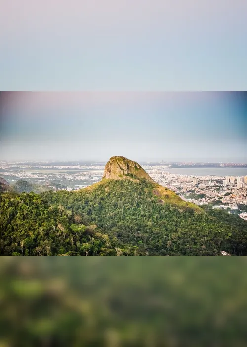 Imagem ilustrativa da imagem Jogos educativos e plantio de árvores para comemorar Dia do Meio Ambiente