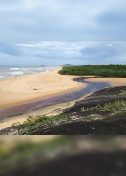 Imagem ilustrativa da imagem Dia do Meio Ambiente terá jogos educativos e plantio de árvores nas ruas de Vitória e Vila Velha