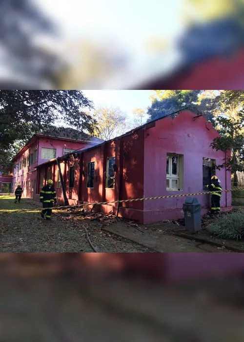 Imagem ilustrativa da imagem Incêndio atinge prédio anexo do Museu de História Natural da UFMG