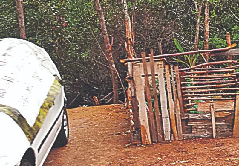 Área de mangue invadida e transformada em garagem no bairro Resistência, em Vitória.