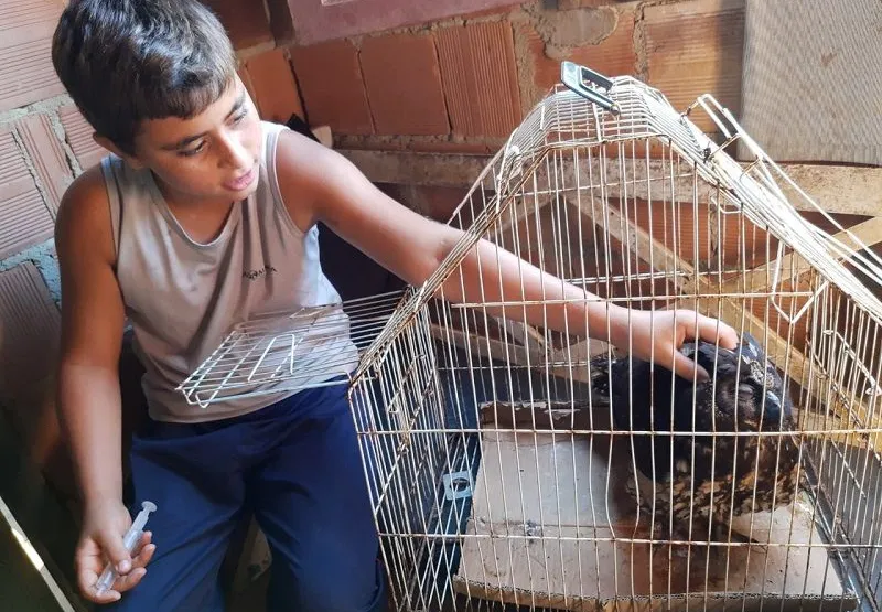 Carlos Antônio Arcanjo, de 11 anos, acaricia a coruja.