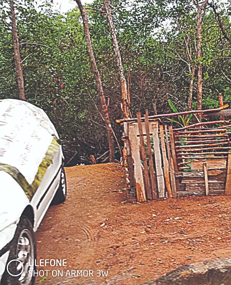 Área de mangue invadida e transformada em garagem no bairro Resistência, em Vitória. (Foto: Dejomar Basilio de Araújo)