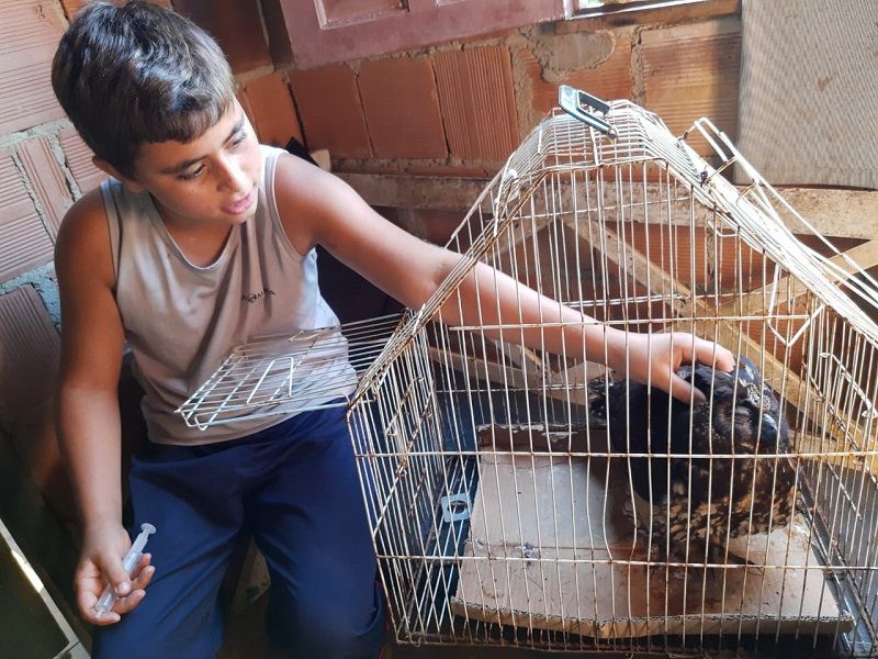 Carlos Antônio Arcanjo, de 11 anos, acaricia a coruja. (Foto: Roberta Bourguignon)