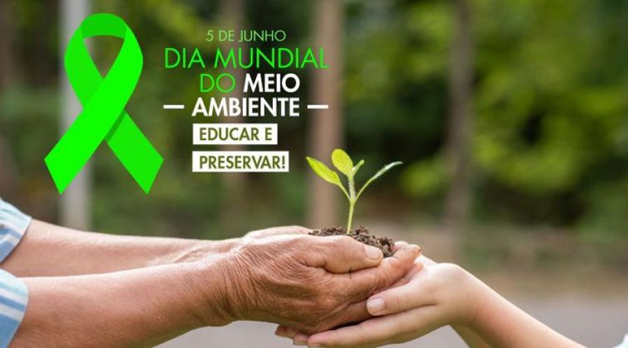 O Dia Mundial do Meio Ambiente é comemorado nesta sexta-feira, dia 5 de junho. (Foto: Divulgação)