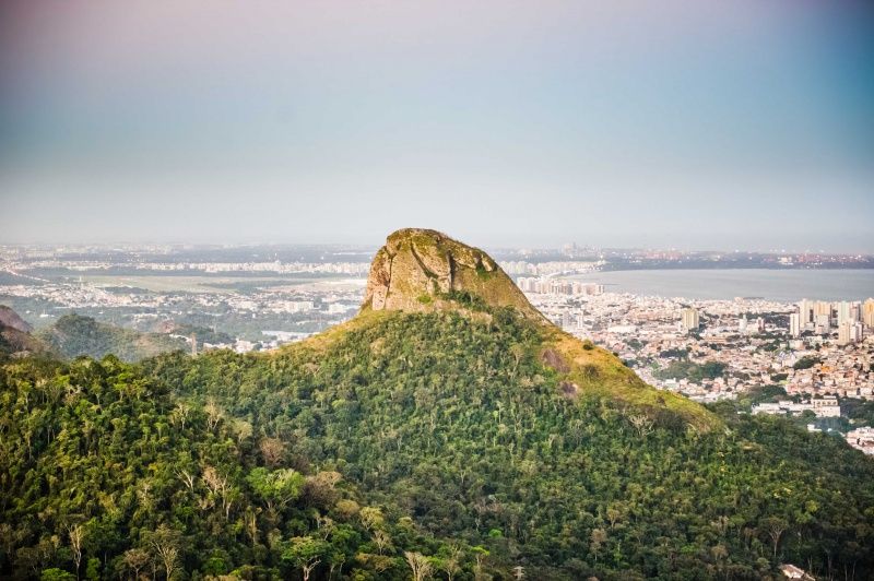 Dia do Meio Ambiente: campanha on-line, vídeo de alunos e quiz marcam a  data – Prefeitura de Vitória