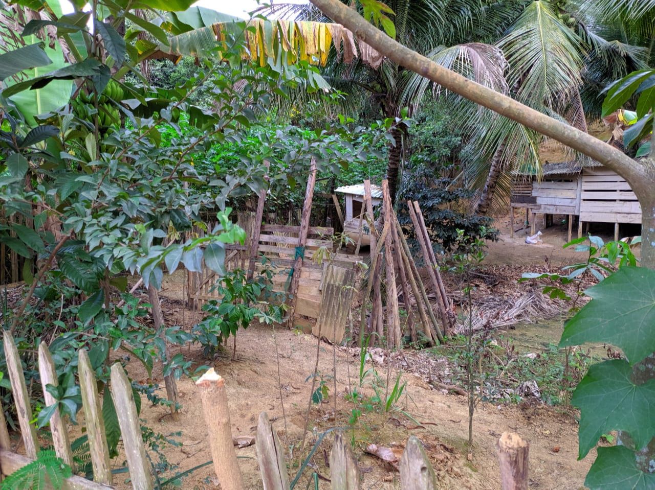 Chácara onde a vítima morreu eletrocutada (Foto: Júlia Afonso)