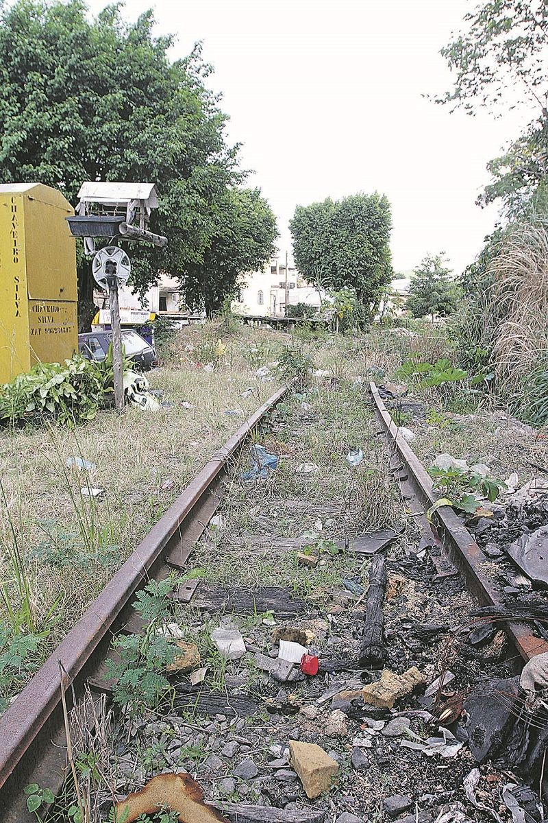 Linha férrea coberta por mato em Santo André (Foto: Rodrigo Gonçalves Tancredo)