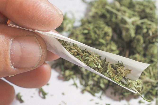 Uso de maconha afeta a memória (Foto: Divulgação)