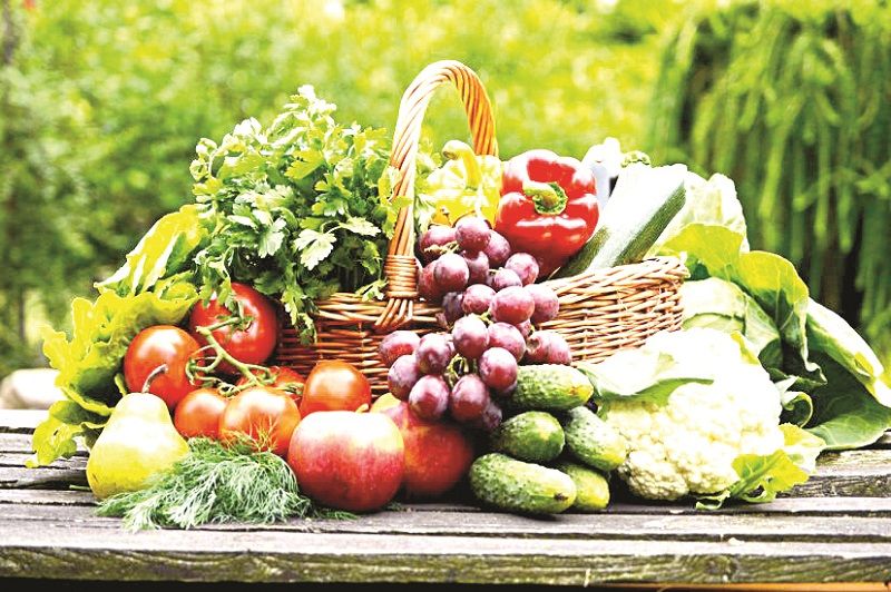 Vegetais diversos: destaque (Foto: Divulgação)