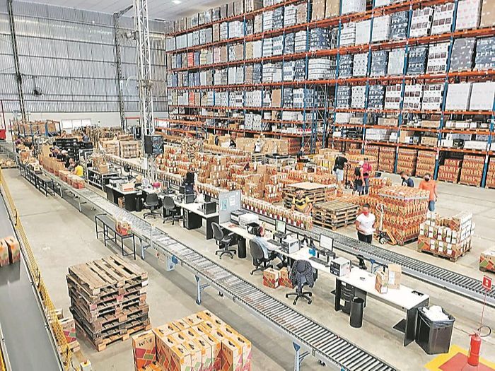 Operação em empresa de vinhos que está com seleção aberta para quem quer trabalhar sem sair de casa (Foto: Divulgação/Wine)