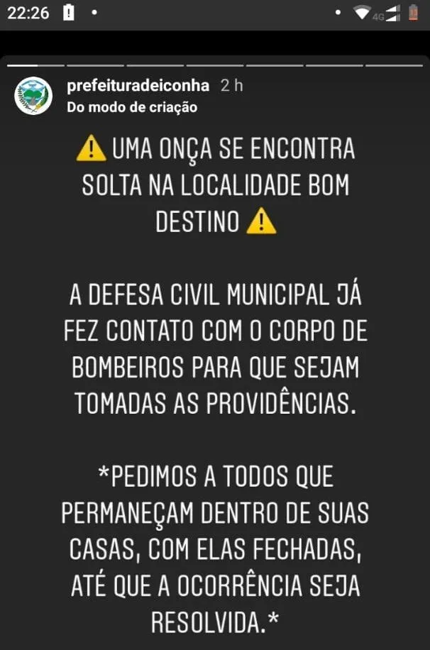 Imagem ilustrativa da imagem Onça-parda é vista circulando em Iconha e Defesa Civil emite alerta aos moradores
