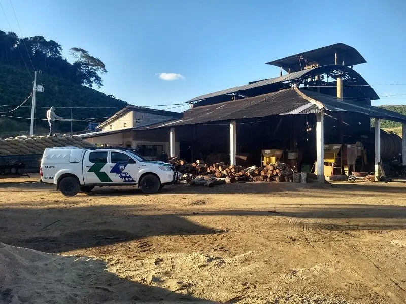 Imagem ilustrativa da imagem Idoso é detido após denúncia de desmate de 25 hectares em Nova Venécia