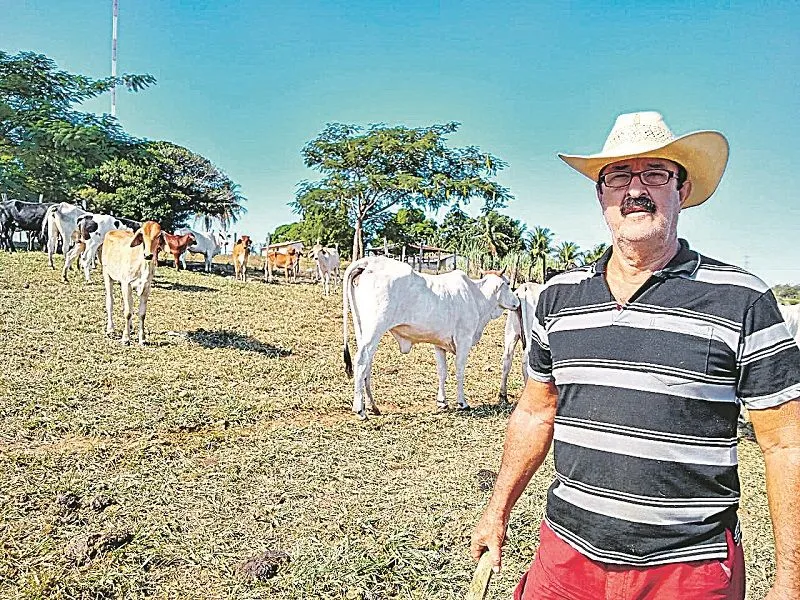 Imagem ilustrativa da imagem Quadrilhas de Minas Gerais e Bahia atacam fazendas no Estado