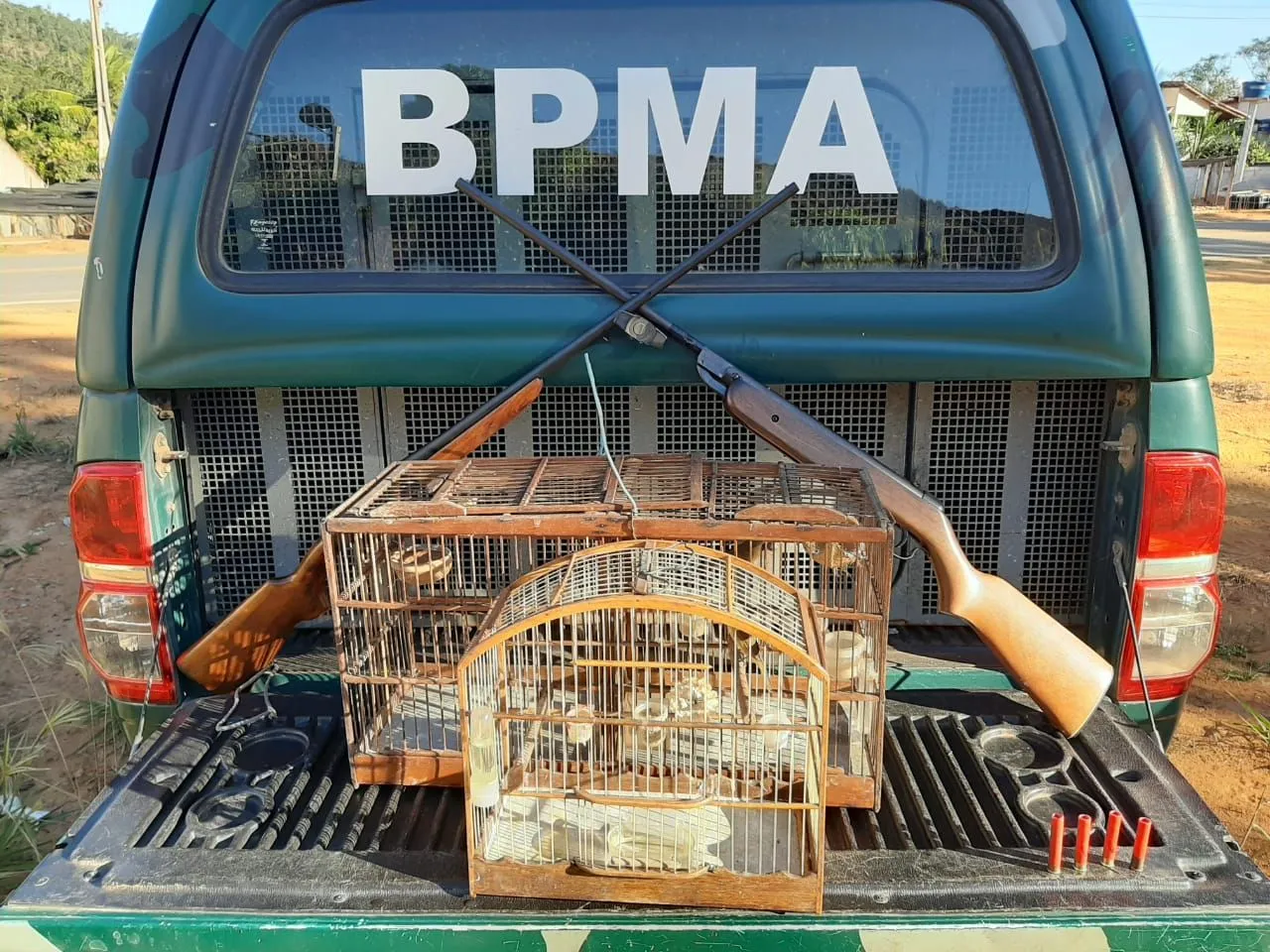 Imagem ilustrativa da imagem Pássaros e material da caça são apreendidos pela Polícia Ambiental