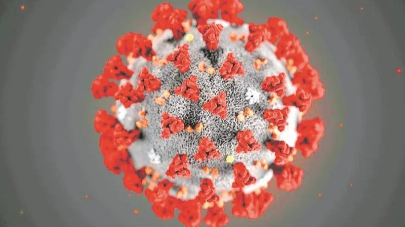 Imagem ilustrativa da imagem OMS relata aumento diário recorde de casos do novo coronavírus