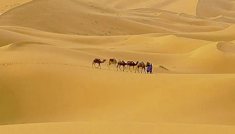 Imagem ilustrativa da imagem Empresa transforma ar do deserto em água potável