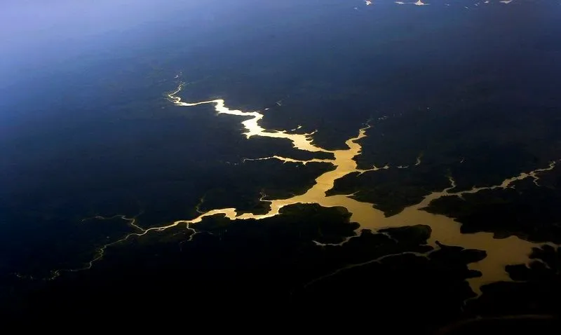 Imagem ilustrativa da imagem Governo destinará R$ 500 milhões para proteger mata nativa da Amazônia