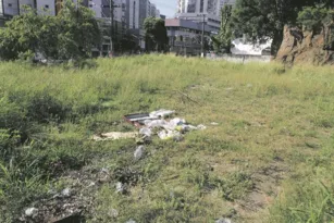 Imagem ilustrativa da imagem Terreno sujo e cheio de mato