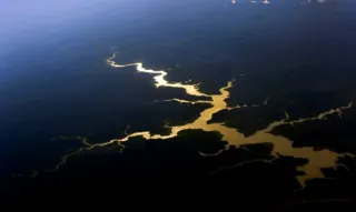 Imagem ilustrativa da imagem Por Amazônia, Flávio  Dino vai buscar Mourão