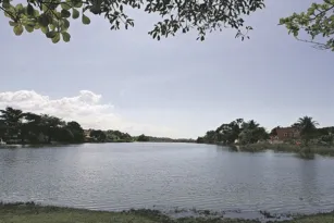 Imagem ilustrativa da imagem Preservação de lagoa em risco