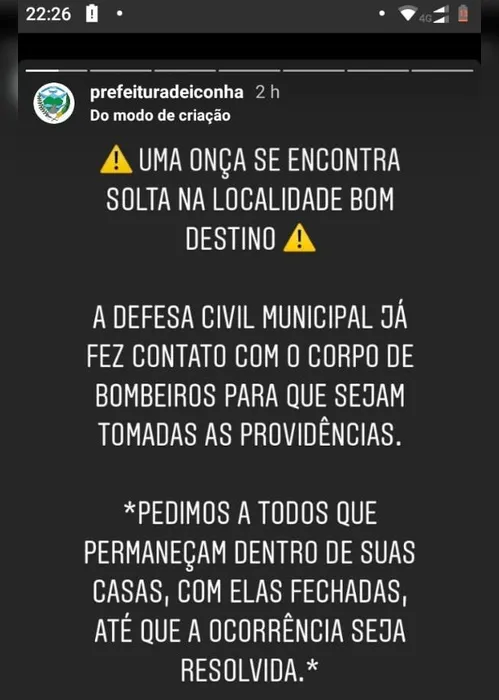 Imagem ilustrativa da imagem Onça-parda é vista circulando em Iconha e Defesa Civil emite alerta aos moradores