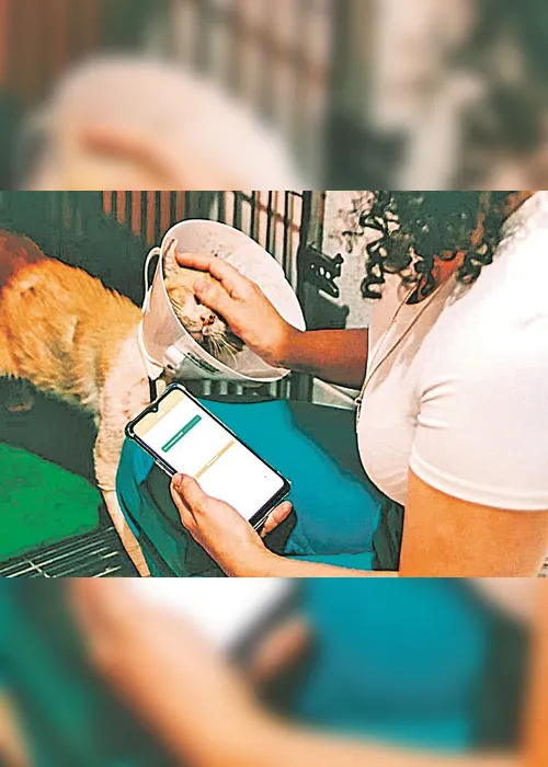 Imagem ilustrativa da imagem Aplicativo permite medir a dor dos pets
