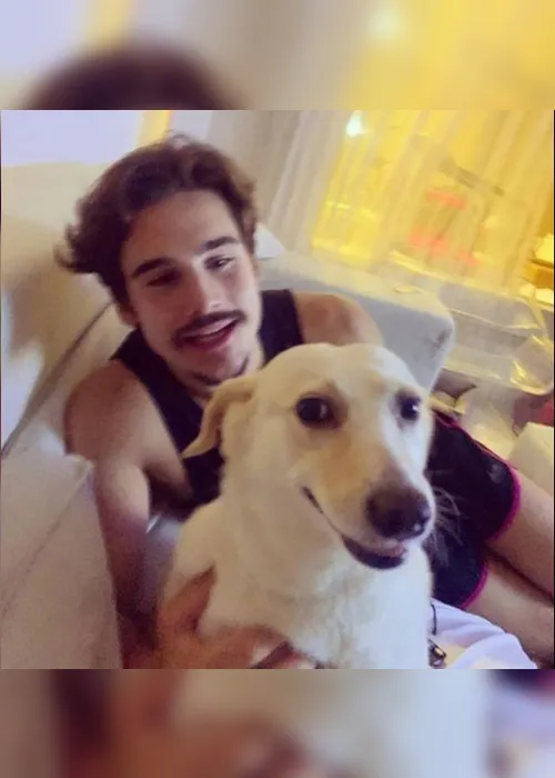 Imagem ilustrativa da imagem Nicolas Prattes adota cachorra após antiga dona morrer de Covid-19