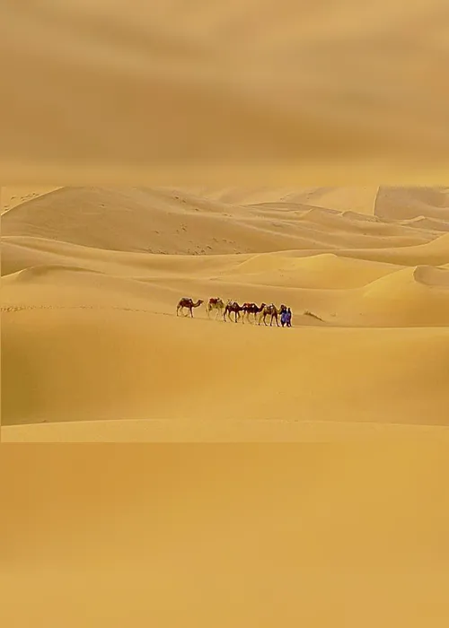 Imagem ilustrativa da imagem Empresa transforma ar do deserto em água potável