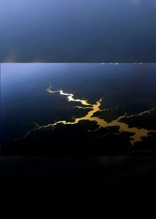 Imagem ilustrativa da imagem Governo destinará R$ 500 milhões para proteger mata nativa da Amazônia
