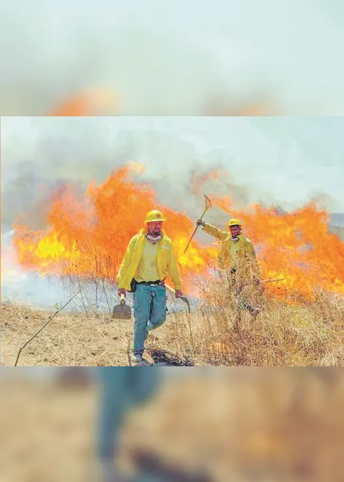 Imagem ilustrativa da imagem Governo libera R$ 3,8 milhões para combate aos incêndios em MS