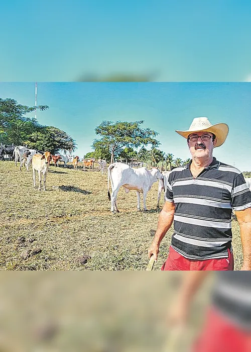 Imagem ilustrativa da imagem Quadrilhas de Minas Gerais e Bahia atacam fazendas no Estado