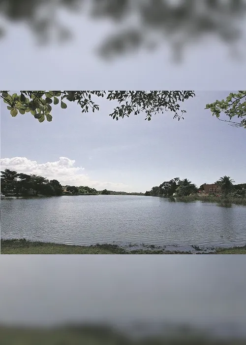 
          Imagem ilustrativa da imagem Preservação de lagoa em risco
          