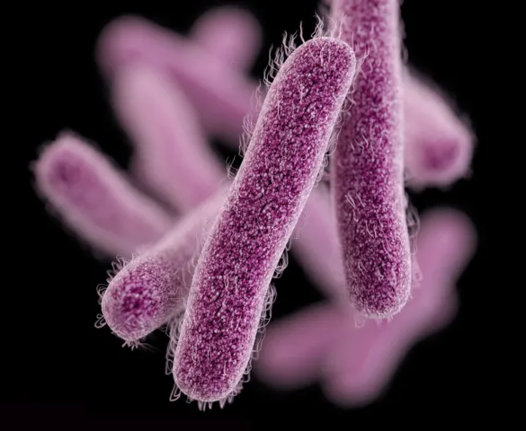 Imagem ilustrativa da imagem Pois é. E ainda tem as superbactérias