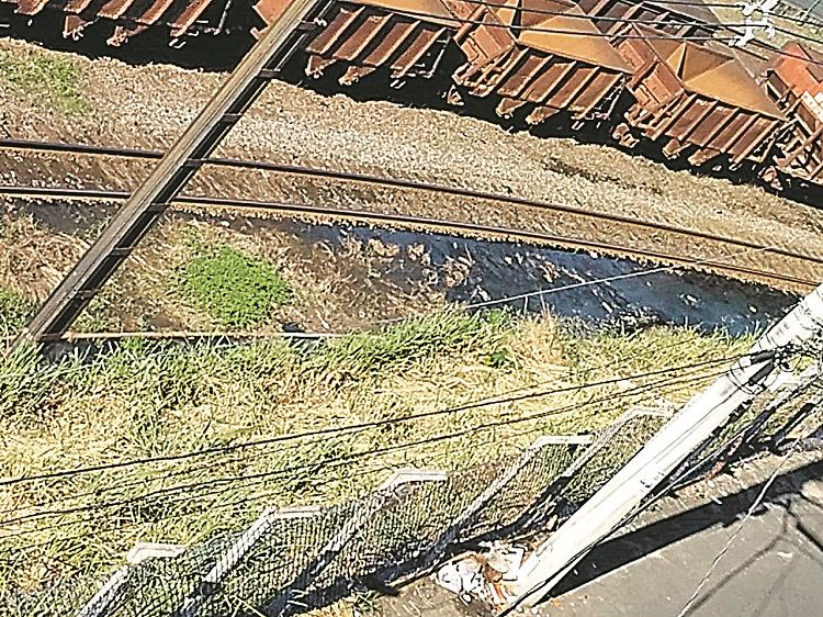 Área alagada cheia de mato e suja (Foto: Wendel Roberto de Souza)