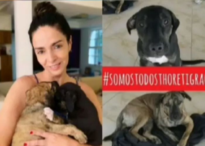 Atriz adotou cachorros, mas devolveu (Foto: Reprodução Instagram @ONGTocadoBicho)