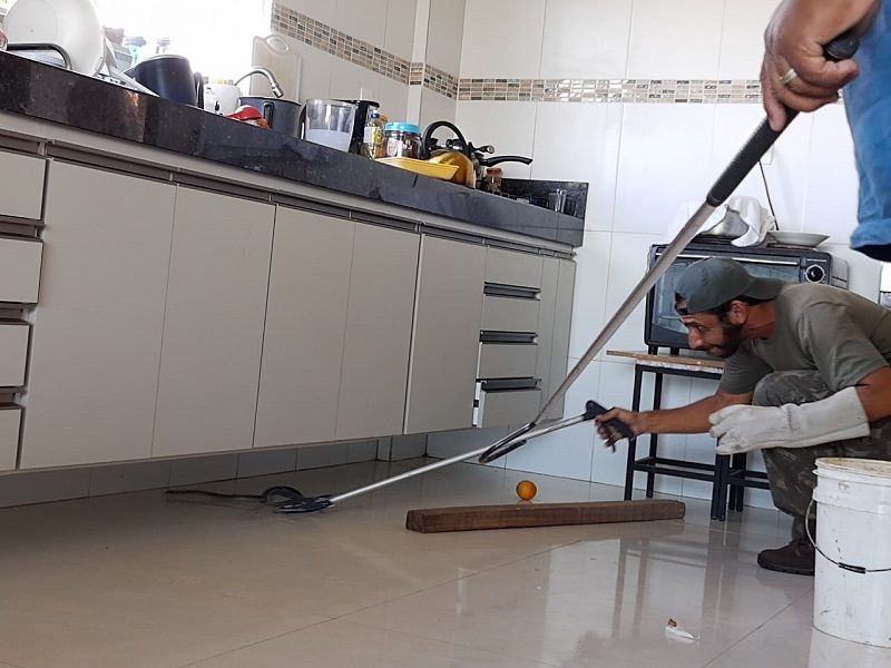 Cobra aparece na cozinha da casa de aposentada em Guarapari (Foto: Roberta Bourguignon)