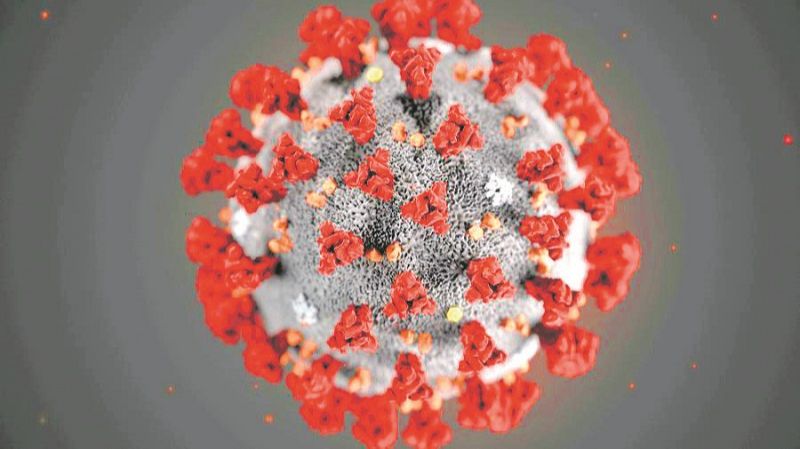Coronavírus (Foto: Divulgação)