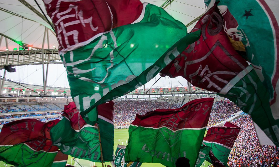 Torcida do Fluminense faz a festa (Foto: Bruno Haddad/Fluminense F.C.)